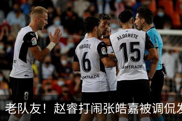 老队友！赵睿"打闹"张皓嘉被调侃发型 布朗陈盈骏崔永熙焦泊乔合照留念